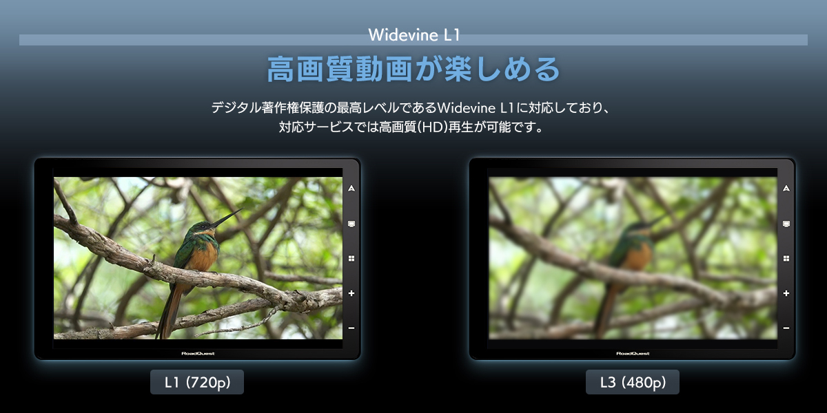 Widevine L1