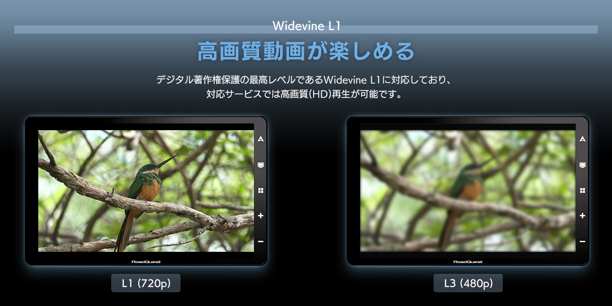 Widevine L1